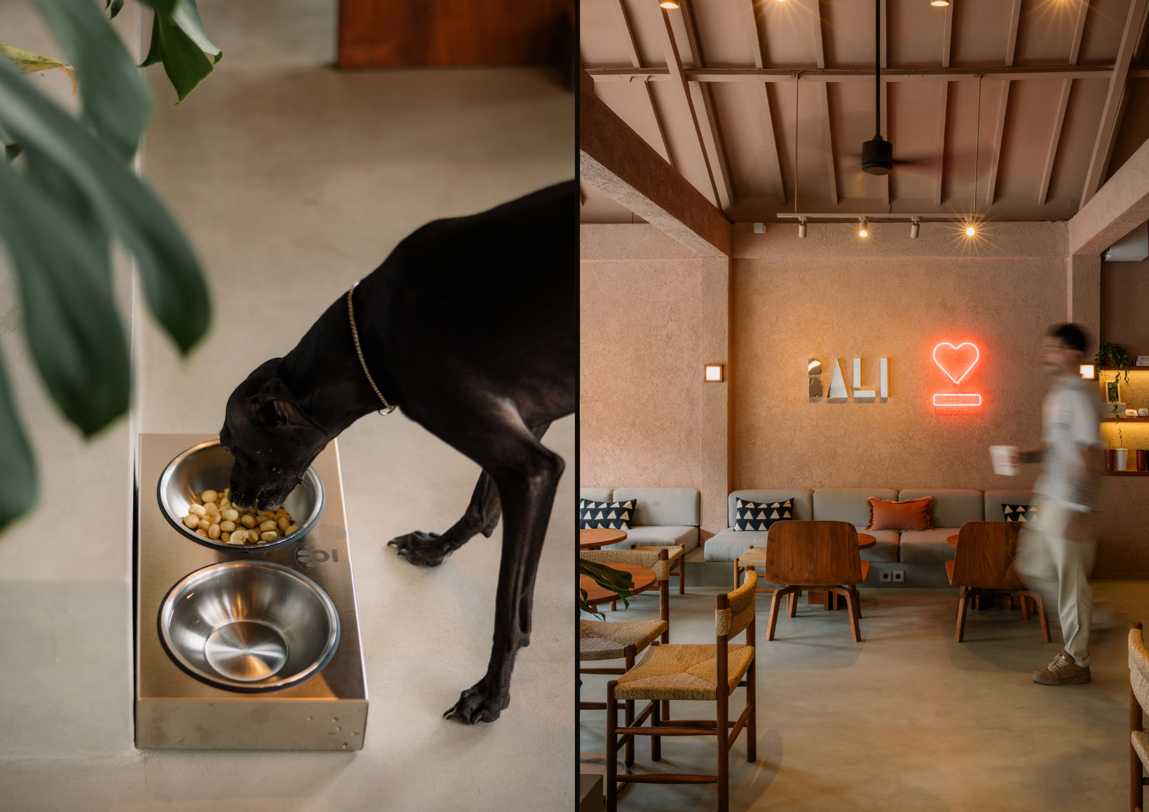 espressolab bali pet friendly cafe